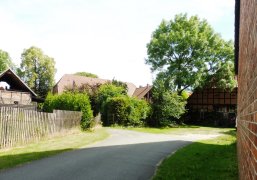 Dorfbild Schneeren Dorfstraße mit Blick auf ein rotgeklinkerten Bauernhof und ein alte Eiche, rechts und links umsäumt eine Backsteinmauer die Straße