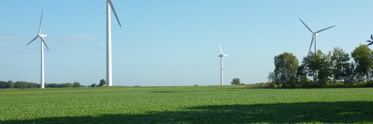 Windenergieanlagen in Laderholz Windräder stehen im Hintergrund einer Wiese bei Laderholz. Im Hintergrund ist blauer Himmel. Rechts befinden sich Bäume.