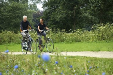 Symbolbild Radfahren in der Natur Zwei Menschen fahren auf Fahrrädern durch die Natur. Im Vordergrund ist eine Blumenwiese, im Hintergrund ein Waldstück zu sehen.