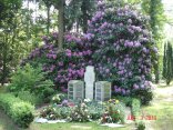 Grabanlage mit Grabsteinen, im Hintergrund ein violett blühender Rhododendron, im Vordergrund Blumen als Grabschmuck
