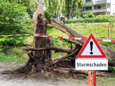 Achtung Sturmschaden Baum Achtung Sturmschaden Baum