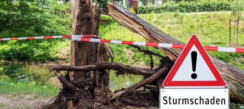 Achtung Sturmschaden Baum Symbolbild (C) Fotolia.com/animaflora