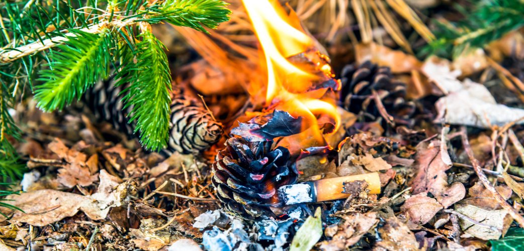 Waldbrand ausgelöst durch weggeworfene Zigarette Symbolbild Waldbrandgefahr (C) Fotolia.com/foto_tech