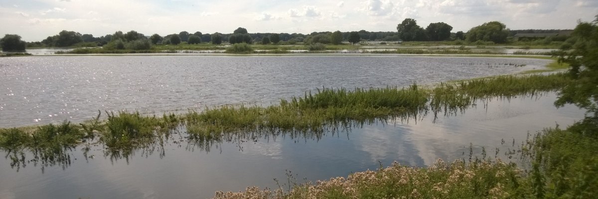 Bordenau Juli 2016 Quelle: Bordenau Juli 2016, fotografiert durch E. Barz