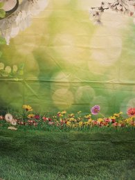 Fotohintergrund Blüten Frühling Sommer