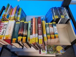 Rückgabewagen mit Büchern in der Stadtbibliothek