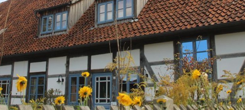 Foto von einem alten Haus mit gelben Blumen im Vordergrund