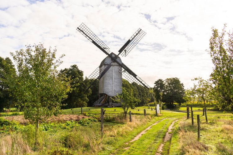 Eine historische Bockwindmühle steht an einem Feldweg in Dudensen.