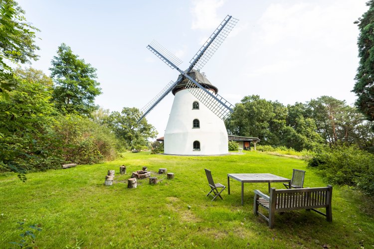 Eine historische weiße Windmühle steht auf einer Wiese, davor gibt es Sitzgelegenheiten aus Holz. 