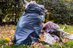 Müllsäcke liegen auf einer Wiese