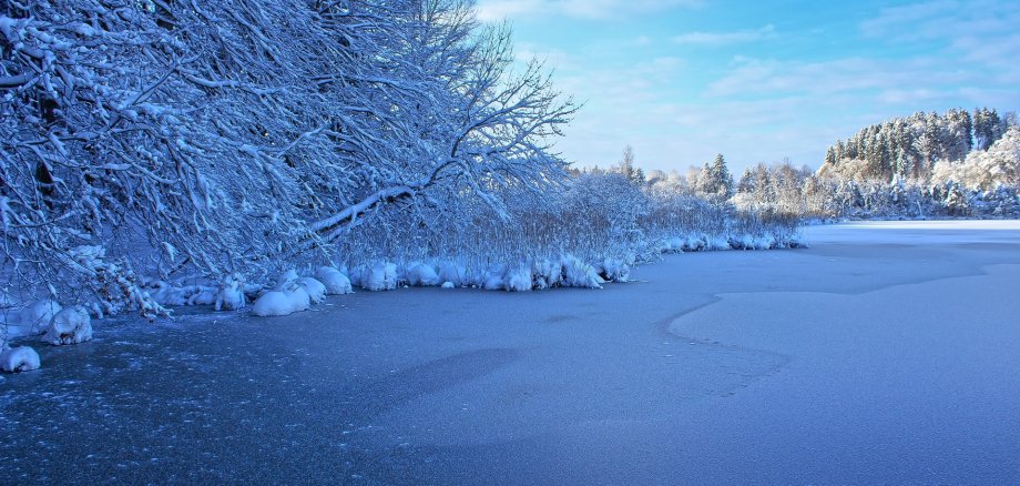 Symbolbild Winter Aufnahme eines verschneiten Sees. Links im Bild sieht man ein Waldstück.