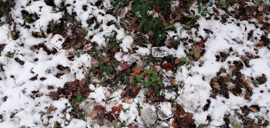 Leere Aluschalen mit Katzenfutter liegen im Gebüsch.