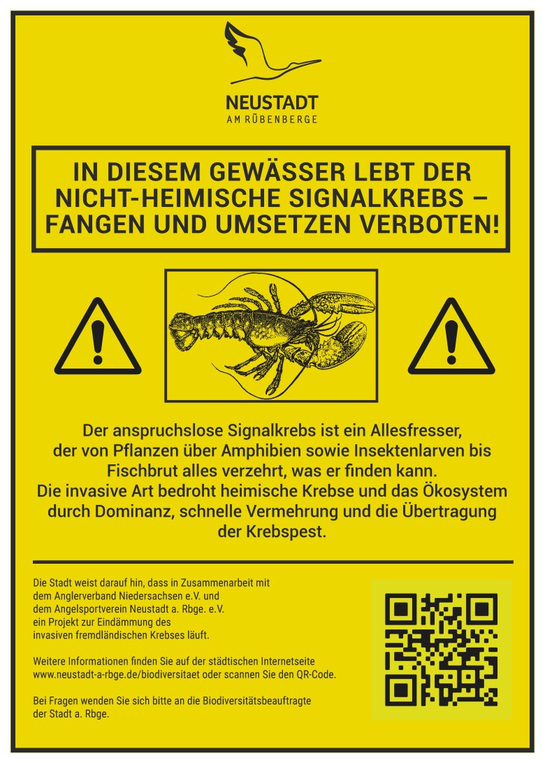 Gelbes Hinweisschild mit schwarzem Text und Symbolen, das auf die Problematik der invasiven Signalkrebse im Auenteich hinweist.