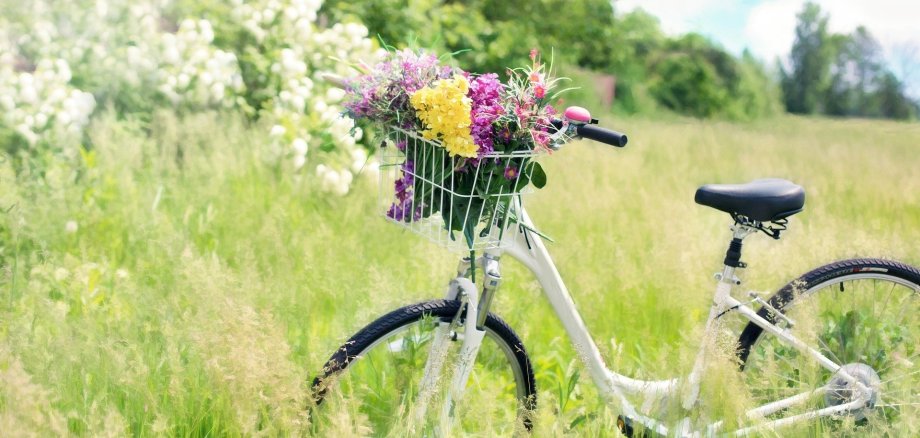 Symbolbild Fahrrad Wiese inmitten einer hellen grünen Wiese steht ein Fahrrad mit einem Korb in dem sich Blumen befinden
