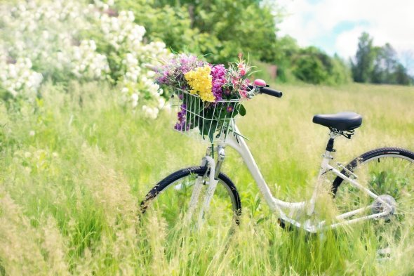 Symbolbild Fahrrad Wiese inmitten einer hellen grünen Wiese steht ein Fahrrad mit einem Korb in dem sich Blumen befinden