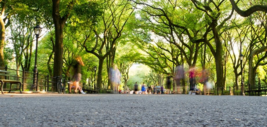Symbolbild draußen Personen in einer sonnigen Allee