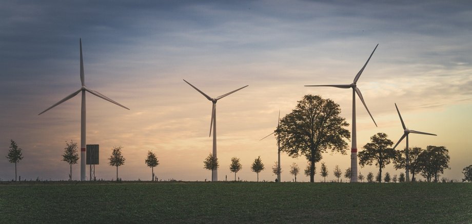 Vier Windräder stehen in der Landschaft, Felder mit vereinzelten Bäumen. Die Sonne geht gerade unter.