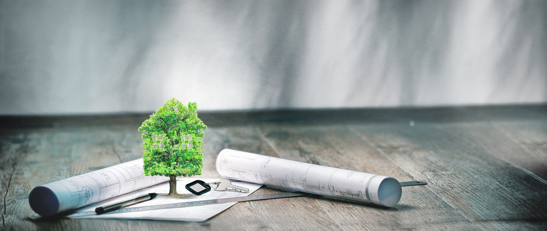 projet immobilier projet immobilier