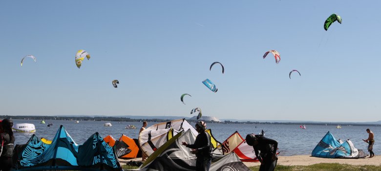 Nordufer Steinhuder Meer
